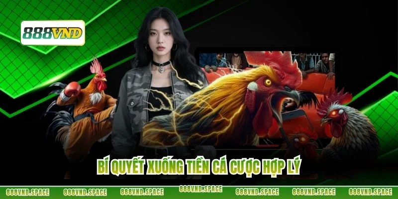 Bí quyết xuống tiền cá cược hợp lý