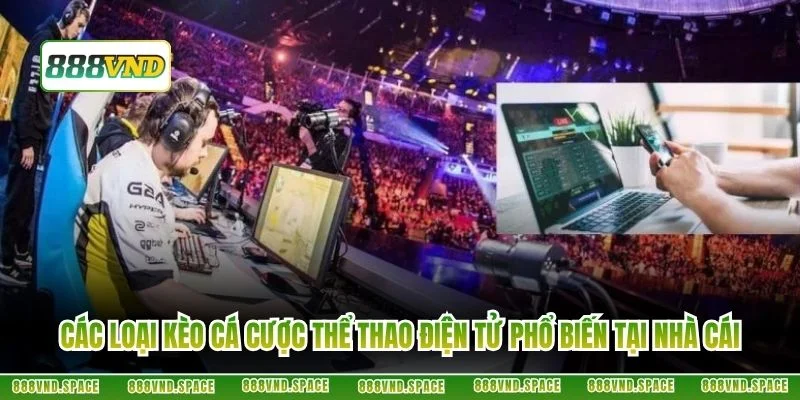 Các loại kèo cá cược thể thao điện tử phổ biến tại nhà cái